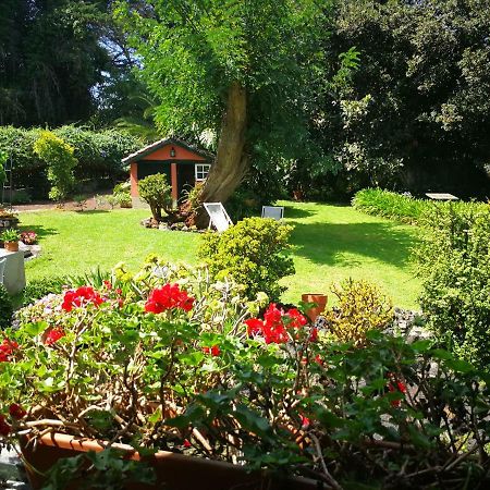 Jardines De Hortensia - Vacation Home Tenerife San Cristóbal de La Laguna Exterior foto