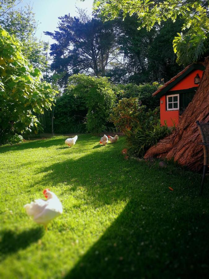 Jardines De Hortensia - Vacation Home Tenerife San Cristóbal de La Laguna Exterior foto
