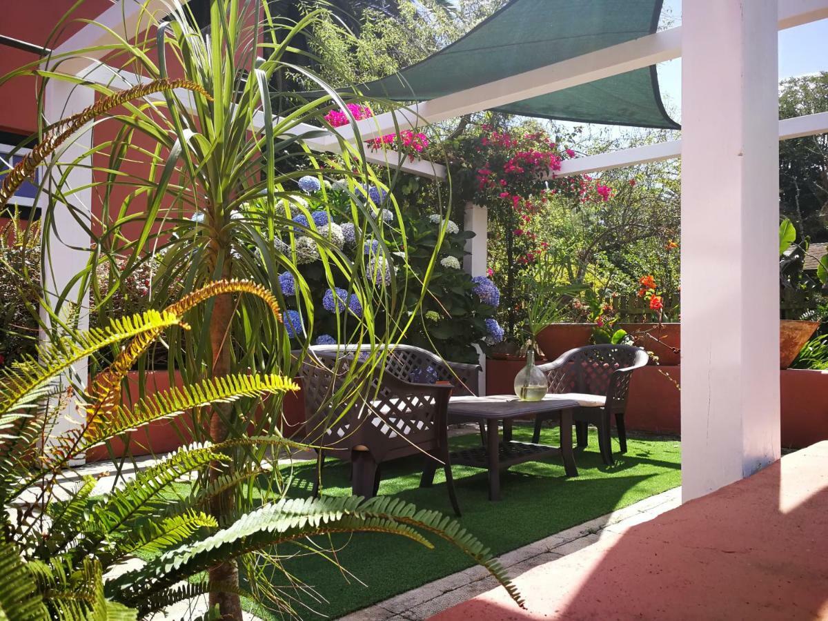 Jardines De Hortensia - Vacation Home Tenerife San Cristóbal de La Laguna Exterior foto