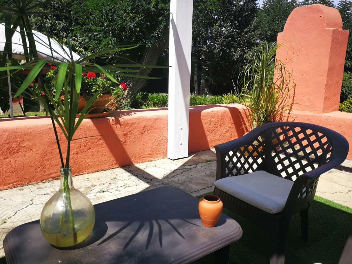 Jardines De Hortensia - Vacation Home Tenerife San Cristóbal de La Laguna Exterior foto