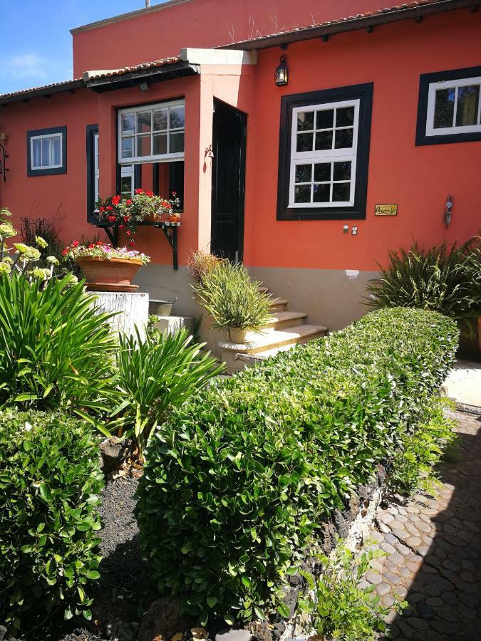 Jardines De Hortensia - Vacation Home Tenerife San Cristóbal de La Laguna Exterior foto